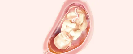 pampers hetes terhes