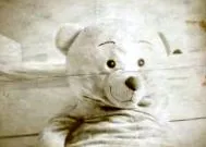 форум