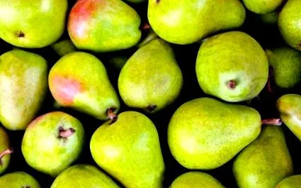tanácsainkkal