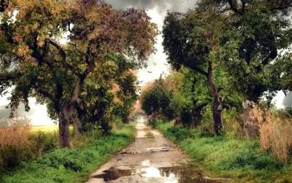 weekend dușuri