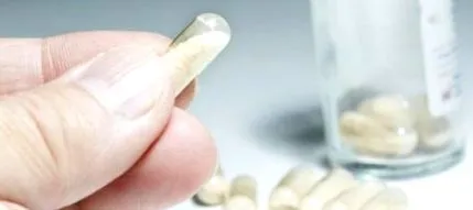 Lactobacillus paracasei