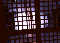 jellemzés