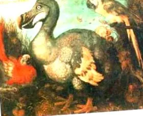 speciile