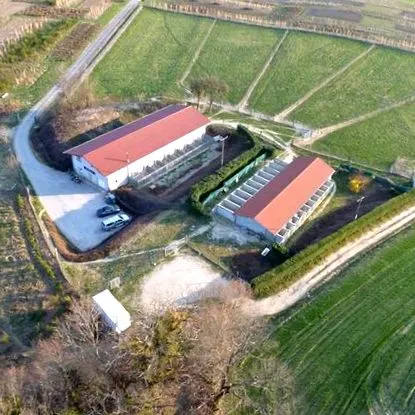 kennel