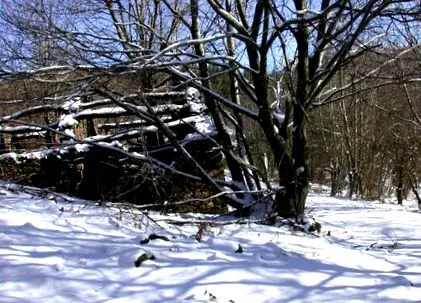 szívek szívek
