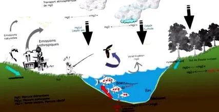 Egyesült Államokban
