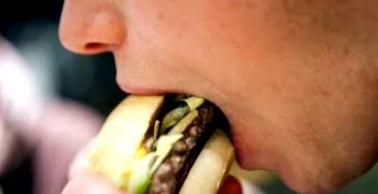 hamburgeri