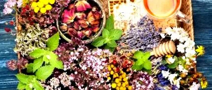blog Hogyan lehet