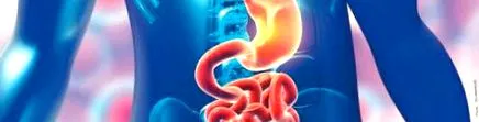 digestive