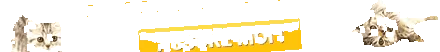 abisiniene