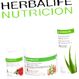 herbalife