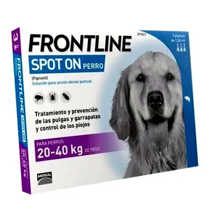 frontline