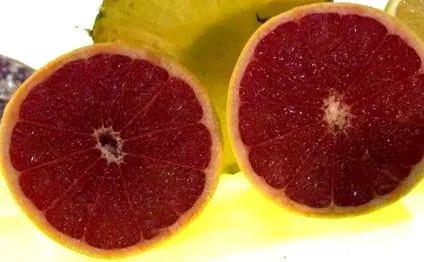 добродетели