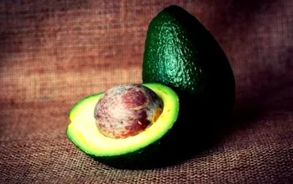 dieta