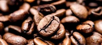 cafele