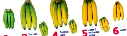 banán