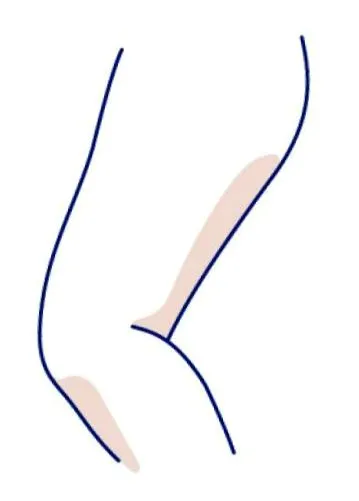 estetică