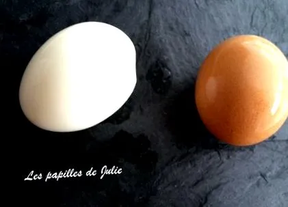 papilele papilele
