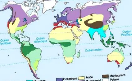 mediteranean