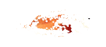 tippek álsügér