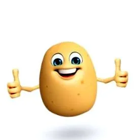 stomac