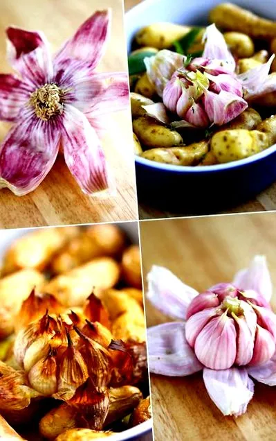 epigramă