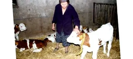 Antoinette Marchal