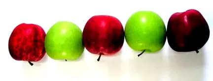 diet Dieta este