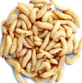 ótvar
