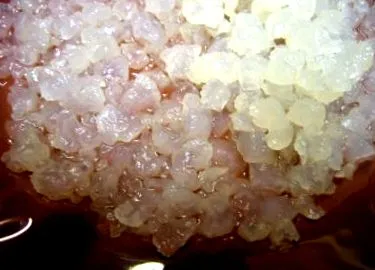 kefir