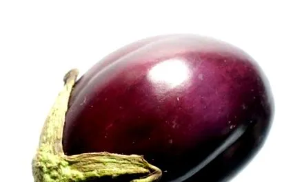 padlizsán