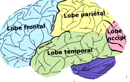 ataxia