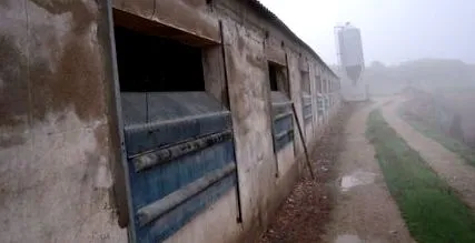 creșterea