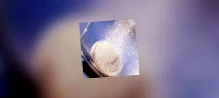 drogja sportolók