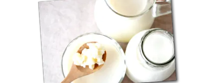 kefir