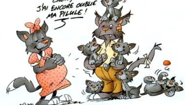 lehetővé teszi