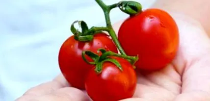 august până anti-îmbătrânire
