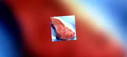 teljes kiőrlésű