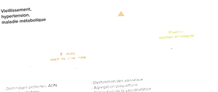здоров здоров