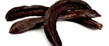 gumă