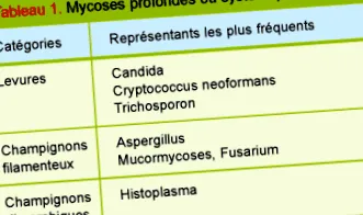 diagnosticul fungice