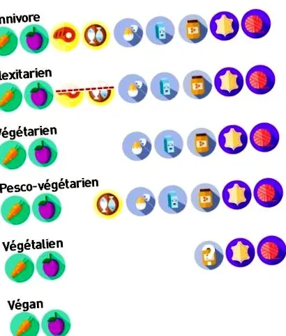 vegetarianizmus