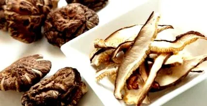 shiitake shiitake