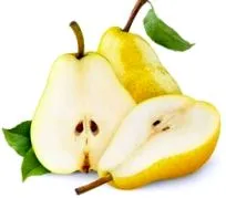 alapuló