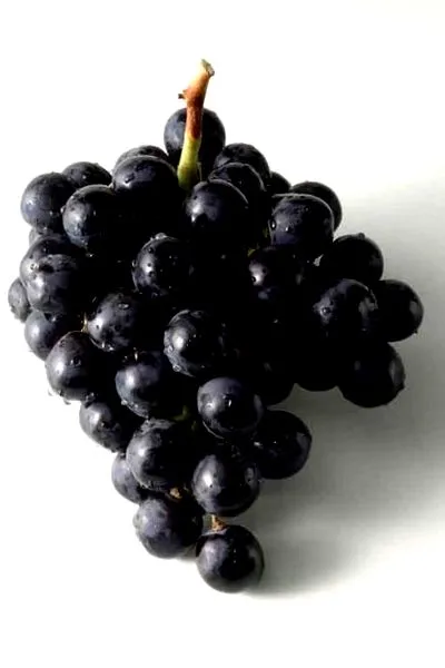 vasodilatatoare