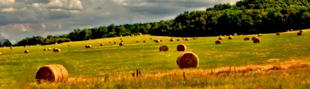 căror venit agricole