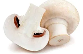 napi gomba