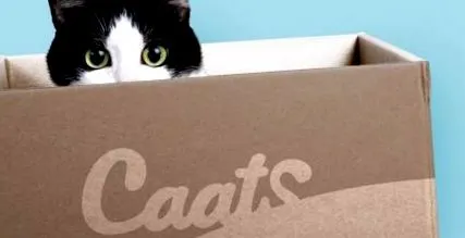 echilibrul Caats pentru