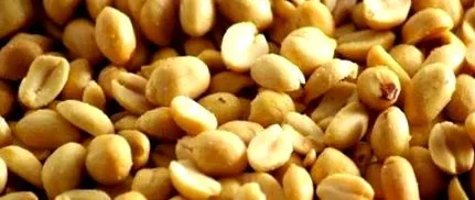 sarcinii