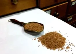 semințe semințe